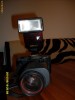 aparat foto canon T80