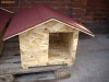 CUSCA CAINE, DOGHOUSE, CASA PENTRU CATEI DIN LEMN