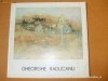 Album Gh. Raducanu