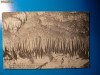 Pestera Luray Cave - The Fish Market, anul 1906, U.S.A. Pestera Luray Cave - The Fish Market, anul 1906, U.S.A.