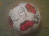 Minge Nike Total90 cu autografe autentice(lot steaua 2010)