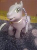 Pony-ponei