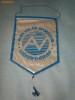 245 Fanion - ALBA VOLAN SPORTCLUB (Ungaria -hochei) 245 Fanion - ALBA VOLAN SPORTCLUB (Ungaria -hochei)