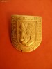 INSIGNA - CLUB SKI (2)
