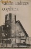 Copilaria - Vadim Andreev Copilaria - Vadim Andreev