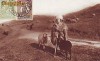 Romania,carte postala circulata 1929,TCV: Cioban cu oi,folklor
