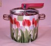 OALA SUB PRESIUNE 9 L ( CUCTA ) - MODEL DEOSEBIT -