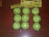 Set  mingi  tenis  camp.