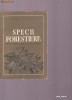 SPECII FORESTIERE REPEDE CRESCATOARE  -MARIN RADULESCU