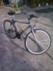 Bicicleta adulti