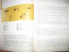 Limba spaniola - curs practic