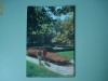 C.P. BUCURESTI VEDERE DIN GRADINA BOTANICA  ANUL 1964
