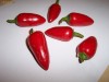 Seminte ardei iute chili  Jalapeno Early -soi pretios, pentru cunoscatori