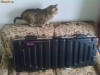 Case aluminiu pentru keyboard 5 octave (61 clape)
