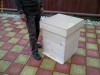 Vand Stupi