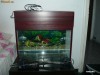 Acvariu 40 litri, capac colantat, neoane, aparatura filtrare si incalzitor