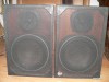 Boxe POP Electronica Industriala 2 cai, 40VA