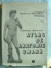 ATLAS DE ANATOMIE UMANA, Vol. I , Coord. M. Gh. Ifrim, 1983. Absolut nou