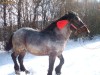 Harmasar de vanzare