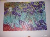 Puzzle 1000 Piese Van Gogh  Irisi