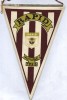 FANION FOTBAL -RAPID BUCURESTI FANION FOTBAL -RAPID BUCURESTI