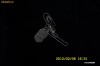 Pandativ inox Dolce & Gabbana - PRET PROMOTIONAL (PRET VECHI 200 RON) -