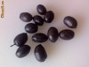 Masline Negre