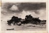 Tancuri Distruse pe Frontul de Est Armata Germana Panzer