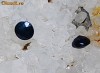 Pereche de SAFIRE NATURALE albastru inchis, bleumarin, pentru CERCEI!!! 2 buc safir