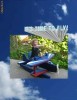 Bilete avion Tenerife (Intre 25% si 60% REDUCERE) Oferta de Vara