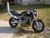 Motocicleta Honda Hornet 600cm(100cp)