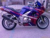 KAWASAKI ZZR 600