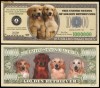 USA(003) 1 million dollars 2006, doggie
