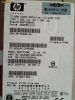 Lot 5 HDD SCSI, HP 72.8 GB, 10000 RPM, Ultra 320