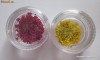 Flori uscate presate, floricele decor pentru modele decor unghii, nail art 3D, constructie unghii false, manichiura nr 5