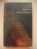 RADU TUDORAN - OGLINDA RETROVIZOARE