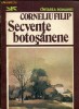 Anticariat Ion Andrei - Secvente botosanene - Autor : Corneliu Filip - 87553