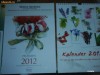 CALENDAR 2012