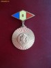 INSIGNA - FEDERATIA ROMANA DE MODELISM - MARINA  ( NR 764 )