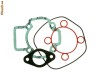 Garnituri scuter  set motor ( cilindru )  Piaggio