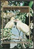 Guinea Ecuatorial - pasari, colita stampilat