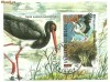 Bulgaria - barza 2000, colita stampilat
