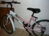 Bicicleta dama