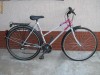 Bicicleta de oras Fox import germania