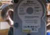 HDD Western Digital 250GB