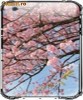 Ipod Skin Design 94