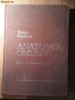 Victor Papilian - ANATOMIA OMULUI, Vol. I - Aparatul locomotor, Editia a V-a, editura Didactica si Pedagogica - Bucuresti, 1974