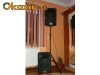 Boxe profesionale plus amplificator