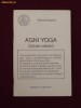 Elena Roerich - Agni Yoga. Dictare celesta - 13881