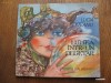LUMEA INTR-UN DEGETAR - LUCIA OLTEANU / FORMAT MEDIU / ILUSTRATA / 1981